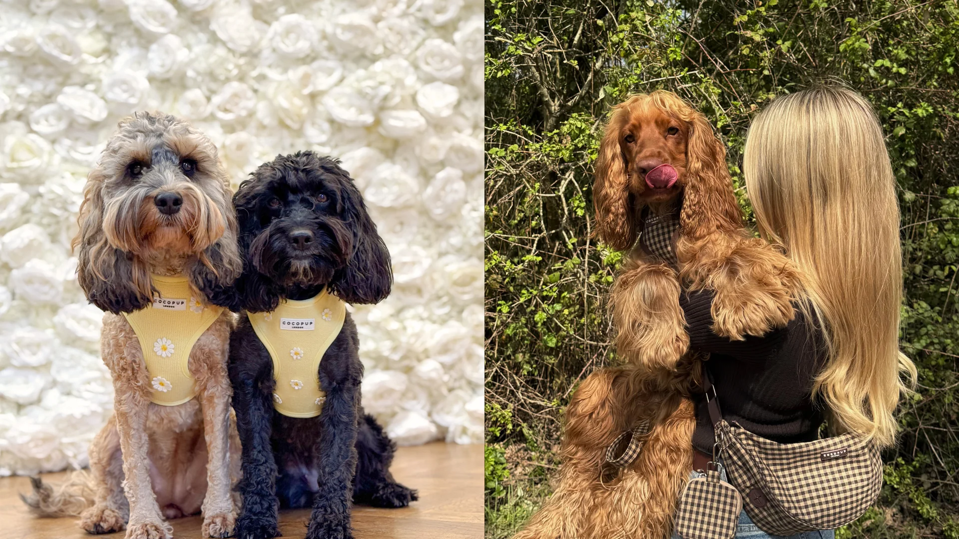 Style for Every Walk